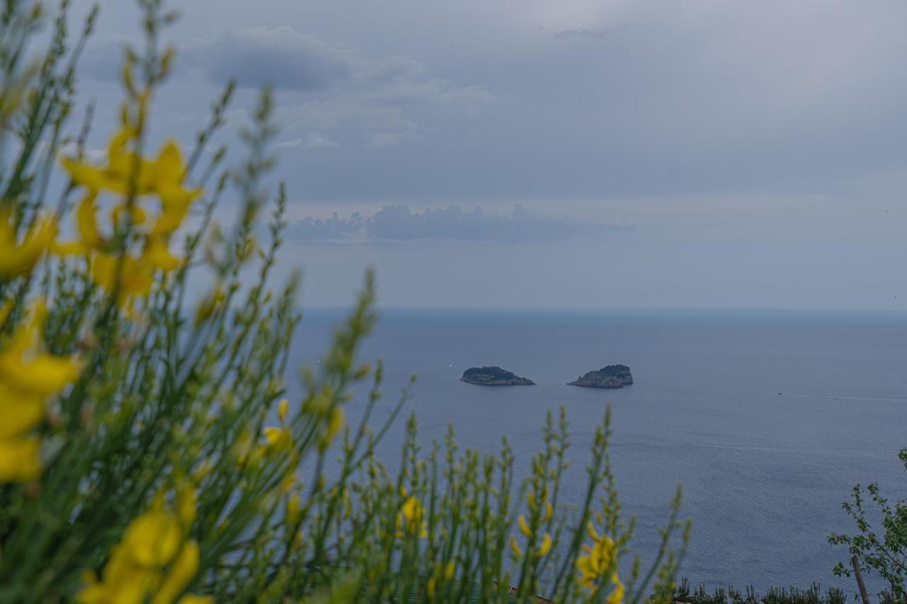 Villa La Pace Sant'Agnello Exterior photo